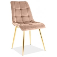 Chic Gold Velvet Beige